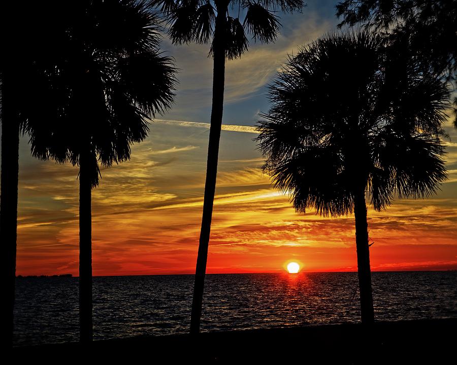 Florida Gulf Sunset Photograph by Ronald Lutz
