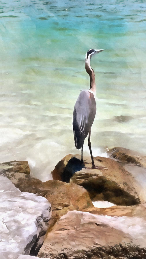 Heron Painting - Florida Heron by L Wright