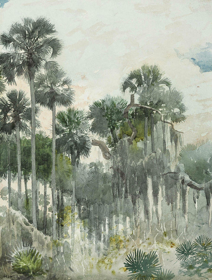 Florida Jungle Painting by Winslow Homer Florida Jungle Painting by Winslow Homer