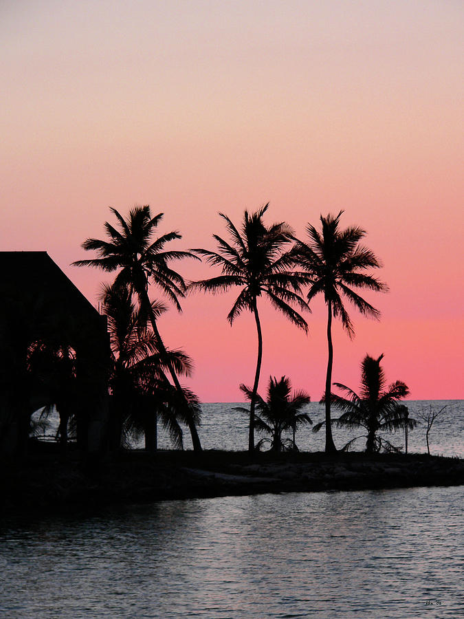 Florida Keys Sunset Photograph by Kathy K McClellan