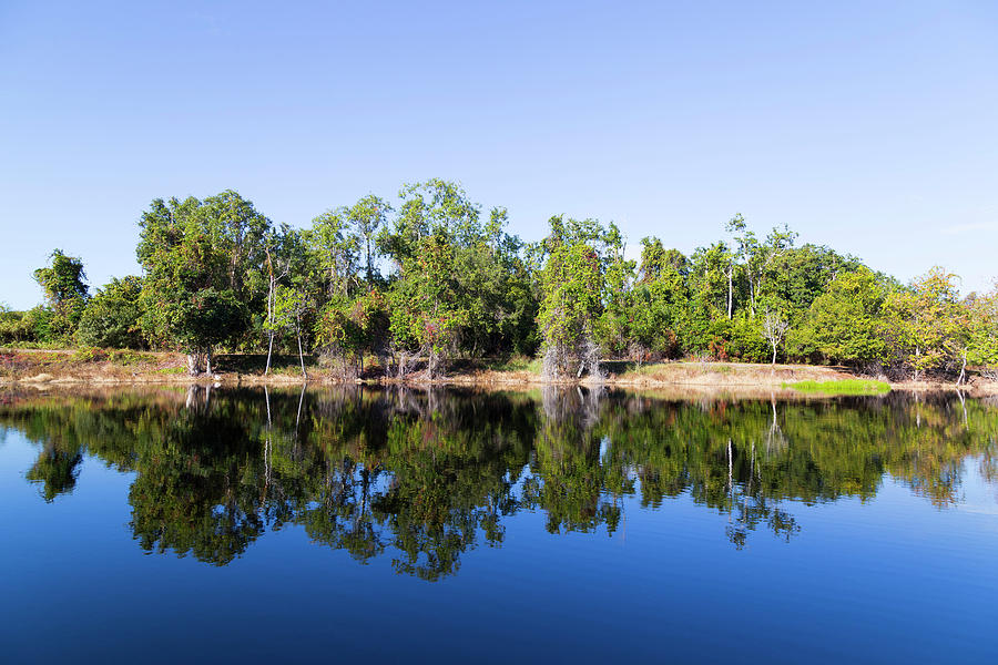 Florida Lake and Trees Photograph by Dart Humeston