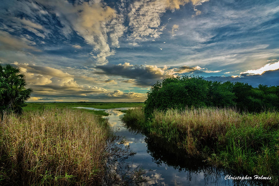 Florida Landscape Photograph by Christopher Holmes