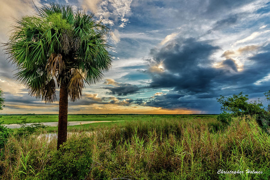 Florida Landscape II Photograph by Christopher Holmes