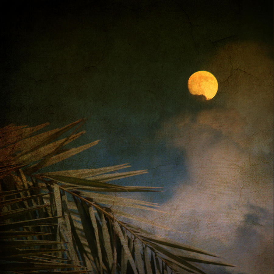 Florida Moon Photograph by Susanne Van Hulst