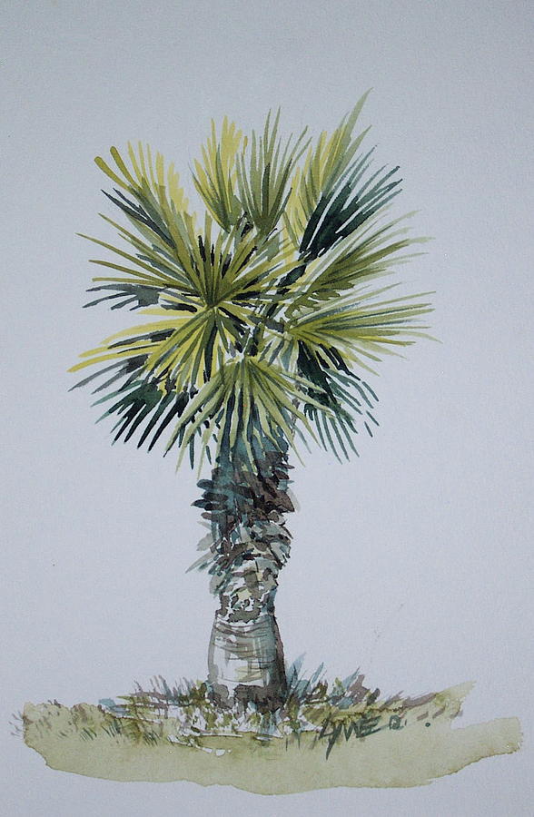 Florida Palm Botanical Painting by Lynne Haines
