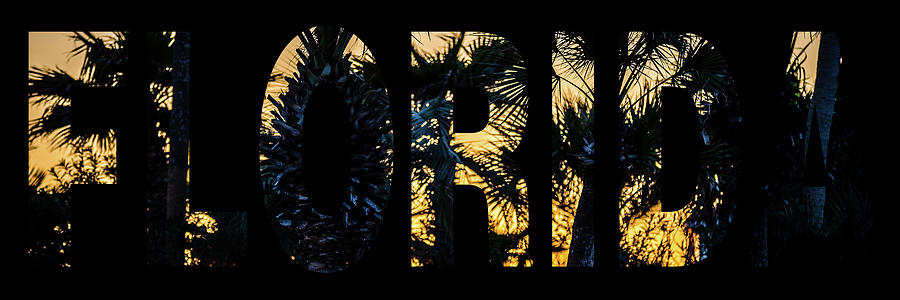 Florida Palm Trees Sunset Word Text Wwith Photo Photograph by Alex Grichenko