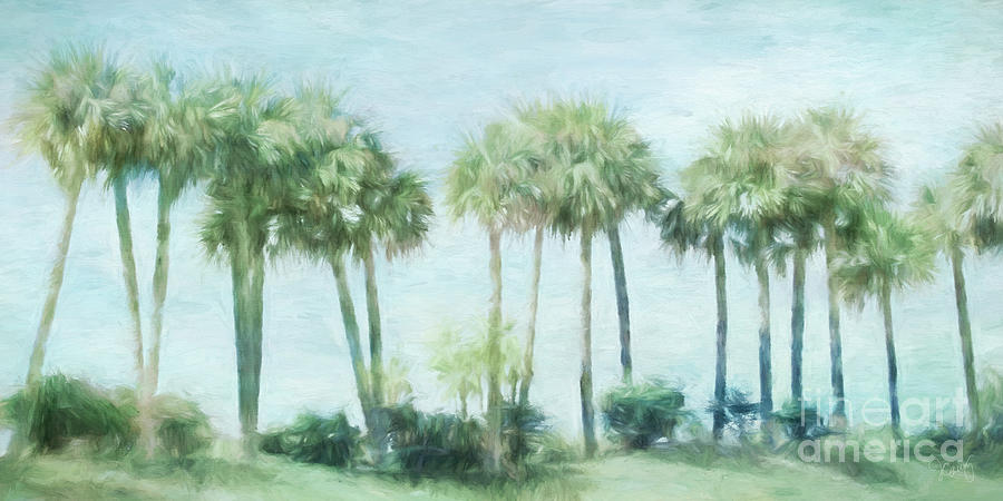 Tree Digital Art - Florida Palms II by Jayne Carney
