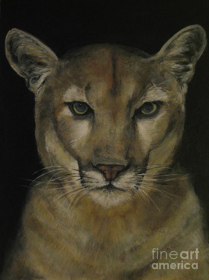 Panther Painting - Florida Panther by Roberta Voss