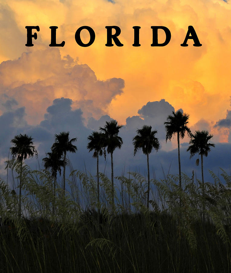 Florida Poster Photograph by David Lee Thompson