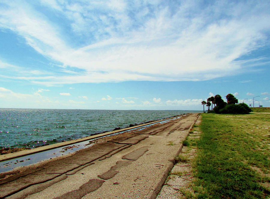 Tampa Photograph - Florida Rest Area by Cynthia Guinn