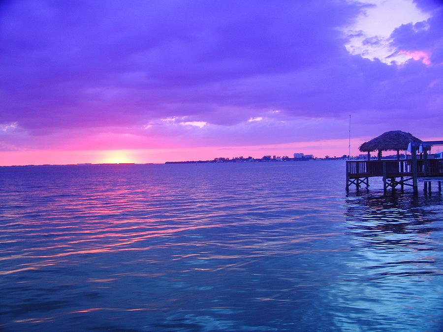Florida River Sunset Photograph by Florene Welebny