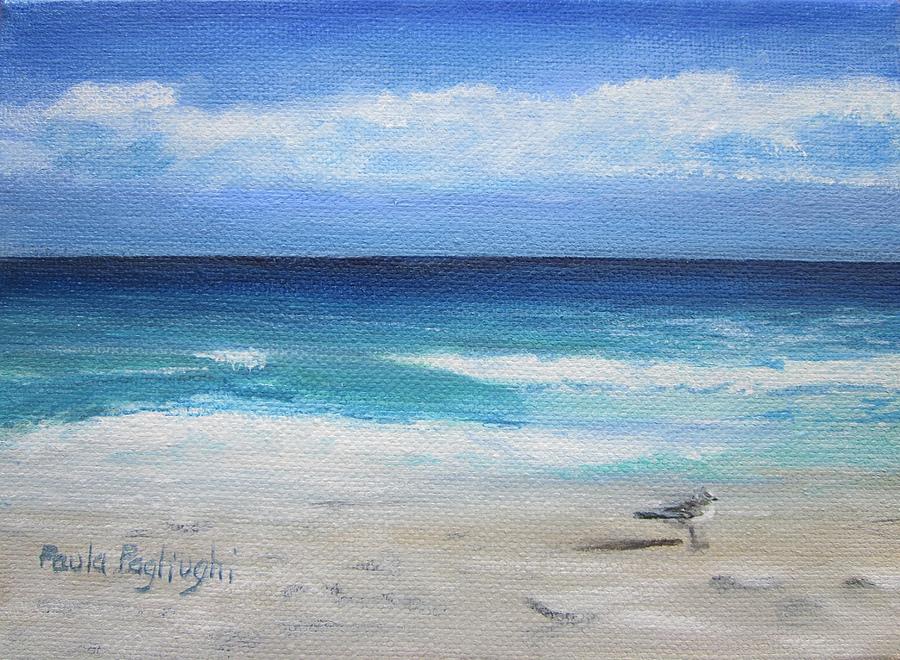 Florida Seagull Painting by Paula Pagliughi