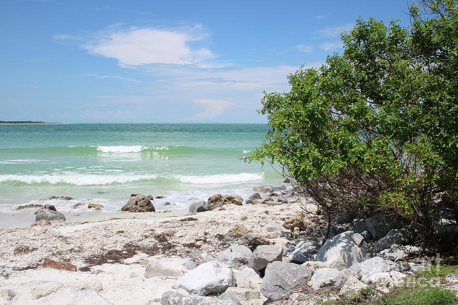 Florida Shelling Beach Photograph by Carol Groenen