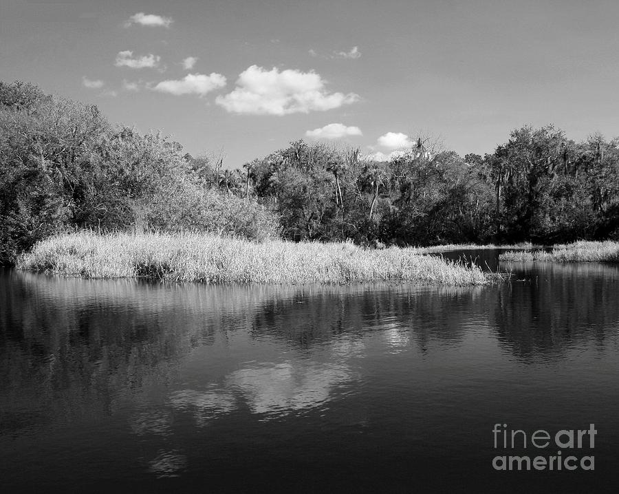 Black And White Photograph - Florida Shoreline by Robert Wilder Jr