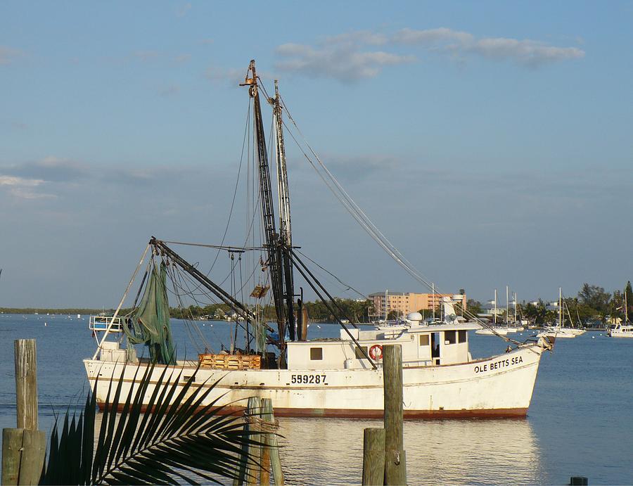 Florida Shrimp Boat Photograph by Florene Welebny