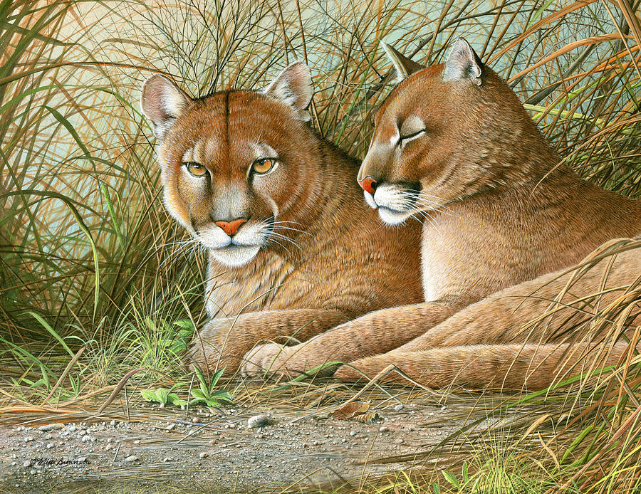 Panther Painting - Florida Siblings by Mike Brown Panther Painting - Florida Siblings by Mike Brown