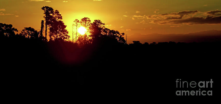 Florida Silhouette Sunrise Photograph by D Hackett