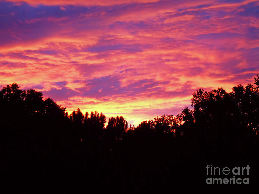 Florida Sky On Fire Photograph by D Hackett