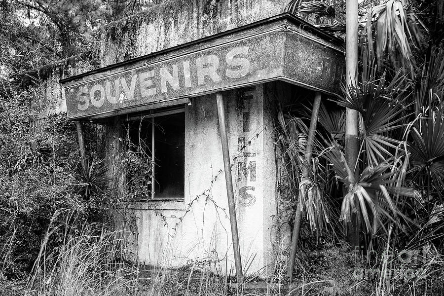 Florida Souvenir Shop, Highway 17, Yulee, Florida Photograph by Dawna Moore Photography