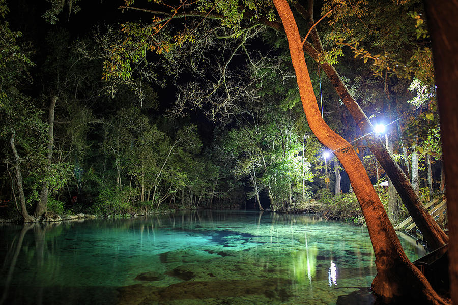 Florida Spring at Night Photograph by Stefan Mazzola