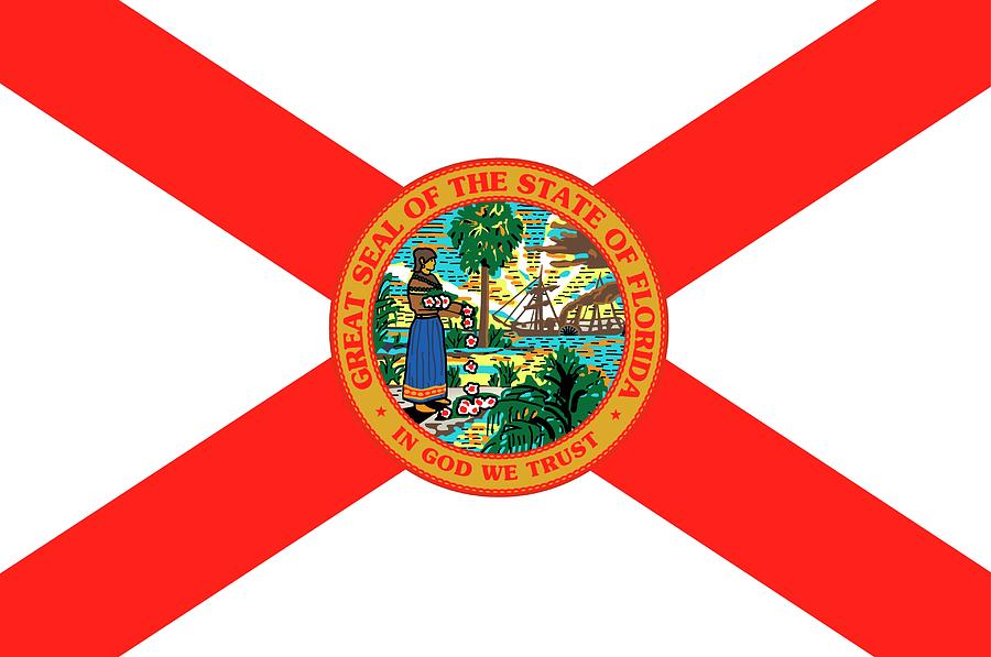Florida state flag Painting by American School