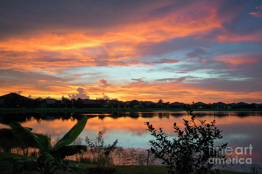 Florida Summer Sunset Photograph by Linda Steele