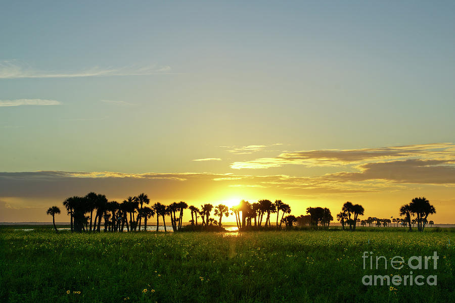 Florida Sunrise Photograph by Brian Kamprath