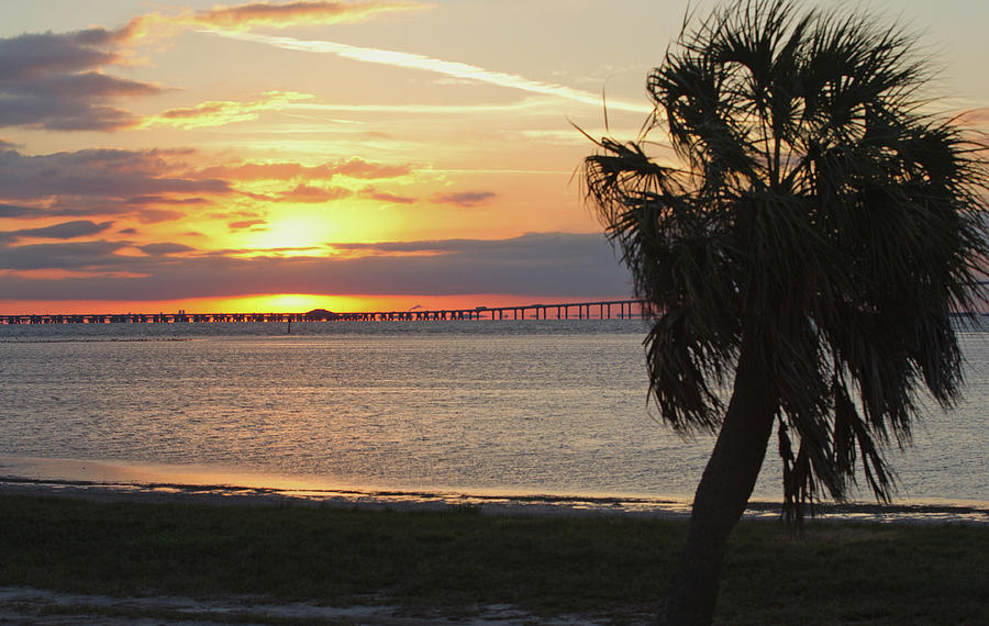 Florida Sunrise Photograph by Jack Nevitt