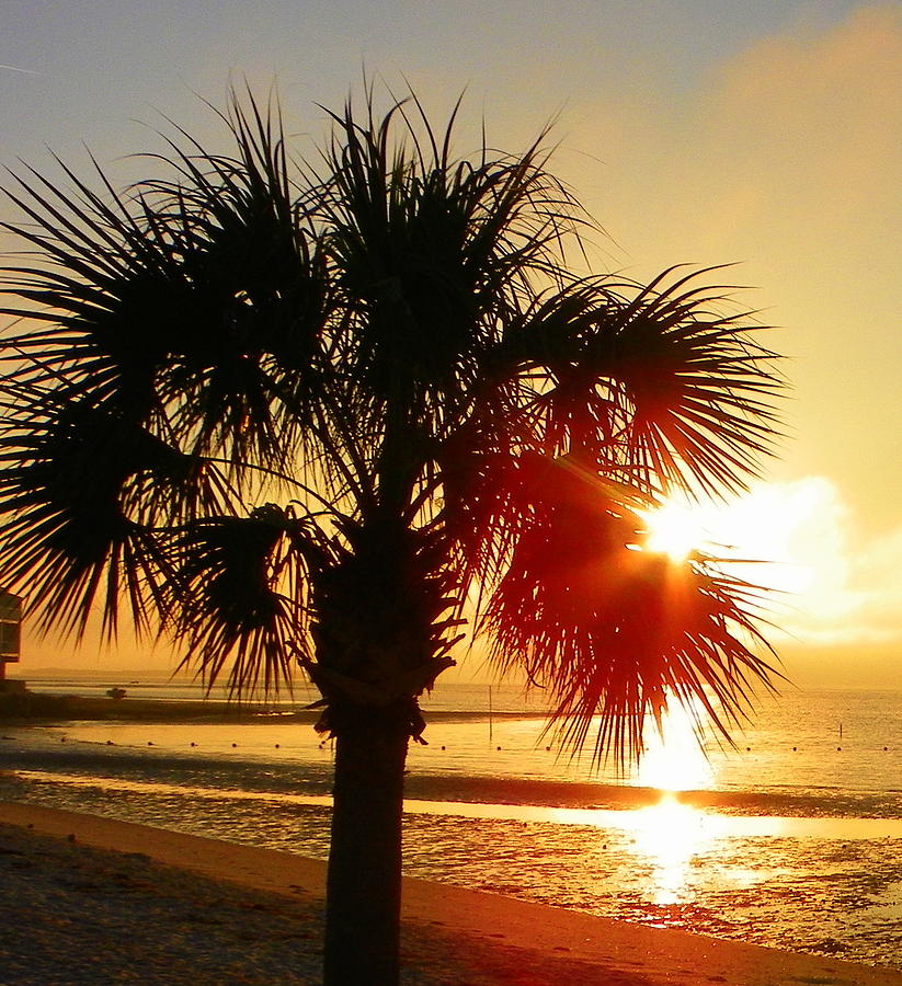 Sunset Photograph - Florida Sunrise by Sheri McLeroy