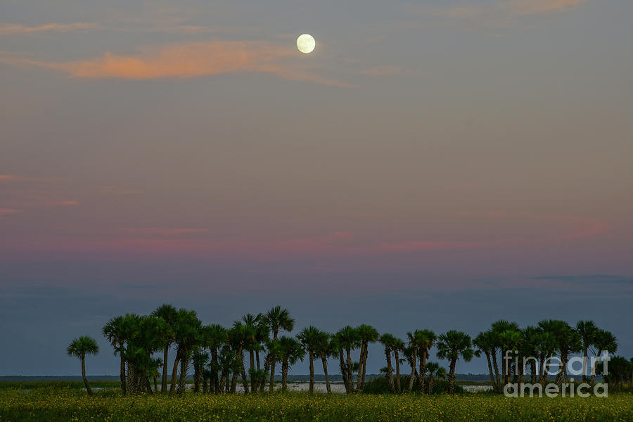 Florida Sunset Photograph by Brian Kamprath