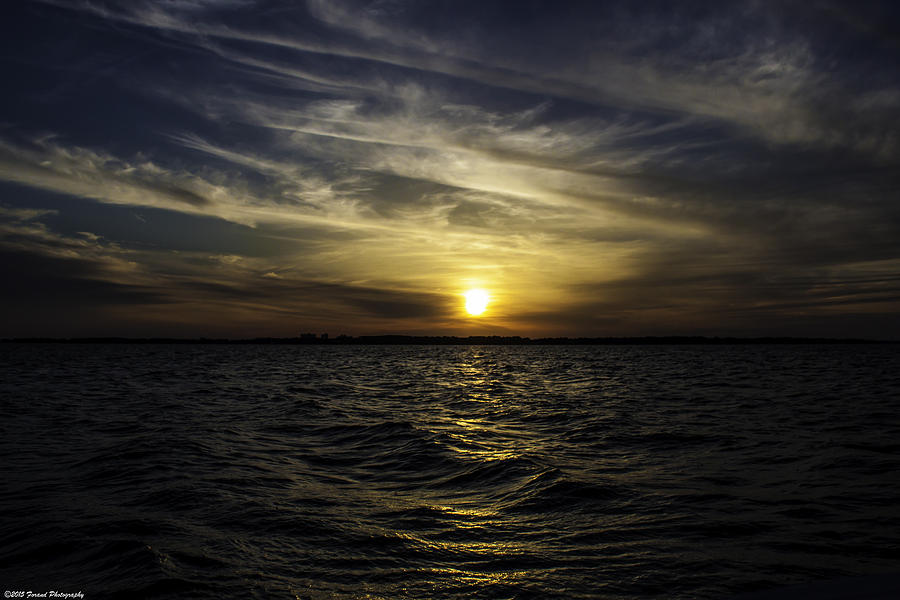 Florida Sunset  Photograph by Debra Forand