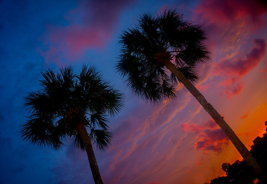 Sunset Photograph - Florida Sunset by Don West