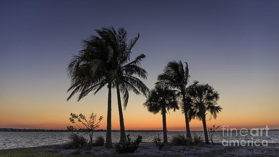 Sunset Photograph - Florida Sunset by Edward Fielding
