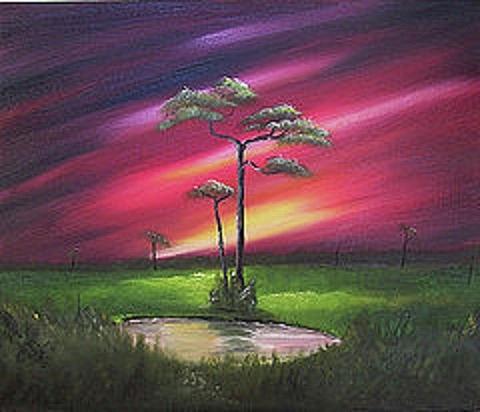 Florida Sunset Painting by John Johnson