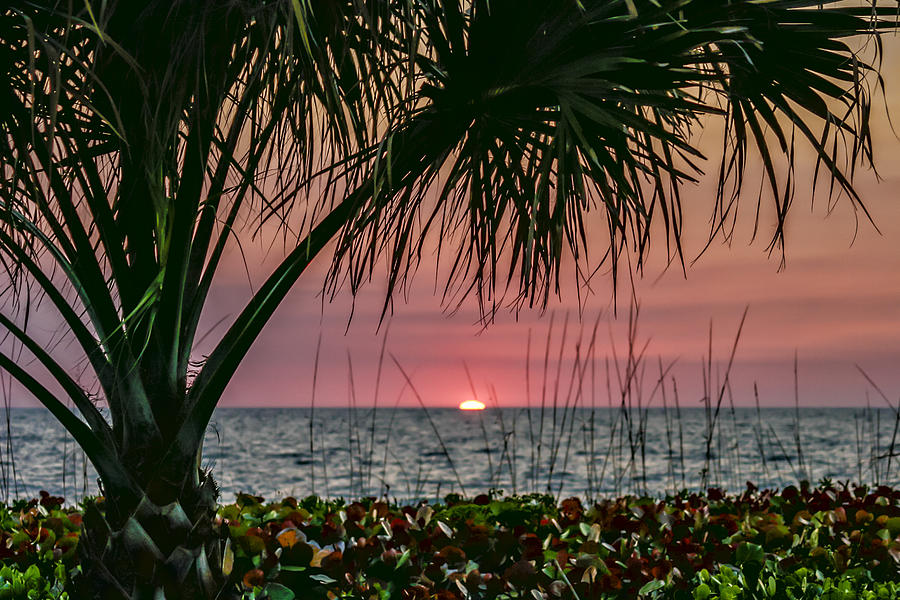 Florida Sunset Photograph by Lindley Johnson