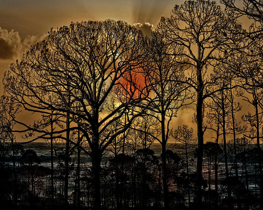 Florida Sunset by Richard Ricci Florida Sunset by Richard Ricci