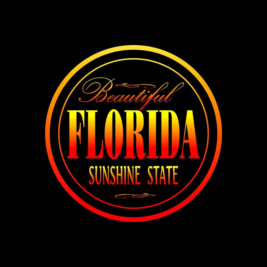 Florida Mixed Media - Florida Sunshine State Design by Peter Potter
