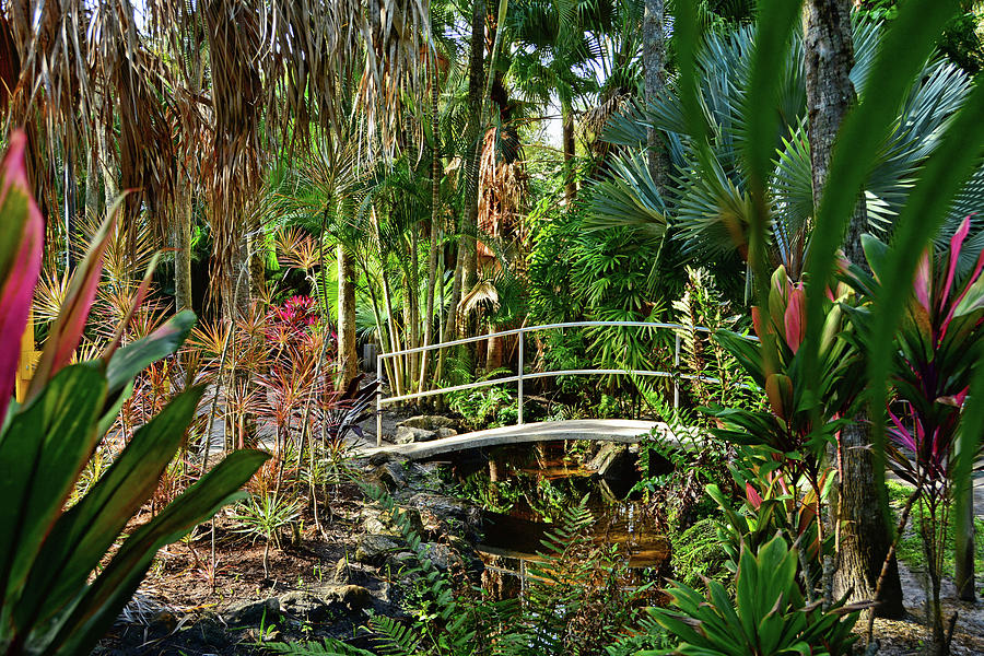 Florida Tech Botanical Garden Photograph by Ben Prepelka