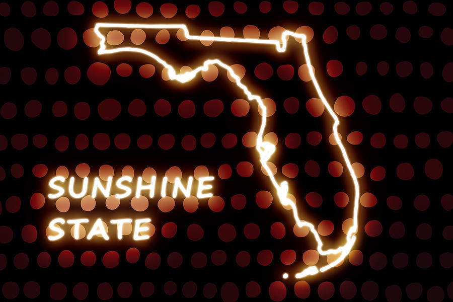 Florida - The Sunshine State Digital Art