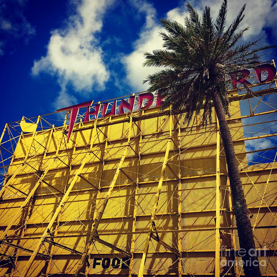 Florida Thunderbird Drive In Photograph by Suzanne Lorenz