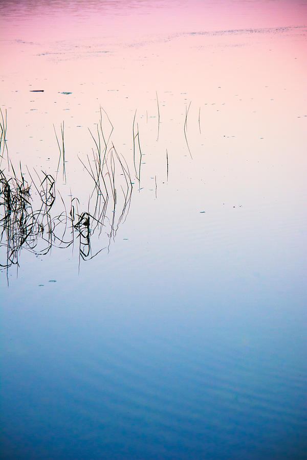 Abstract Photograph - Florida Tranquility by Parker Cunningham