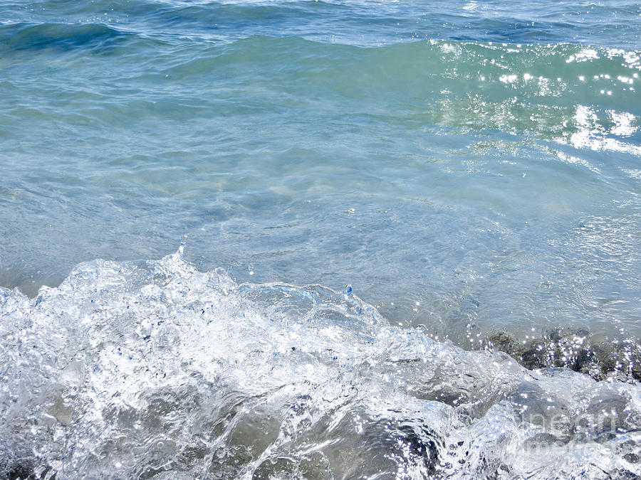 Florida Waters Photograph by Rachel Morrison