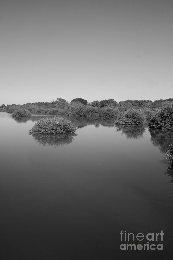 Florida Waterway Photograph by Robert Wilder Jr