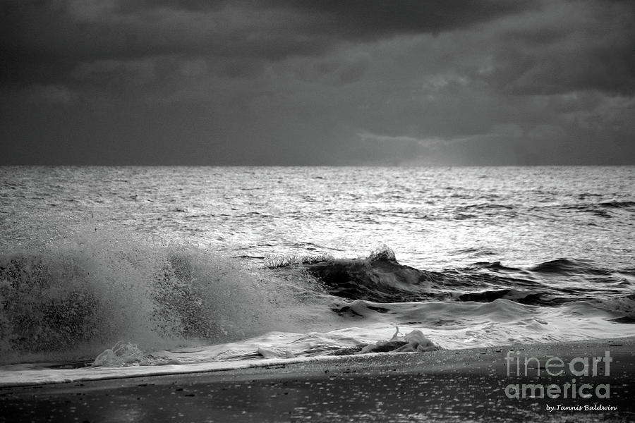 Florida Wave Bw Photograph