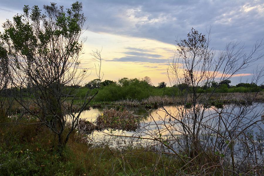 Florida Wetlands Sunset Photograph by Carol Bradley