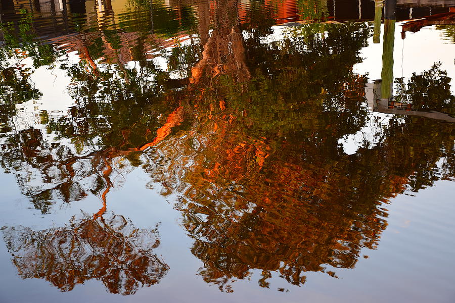 Florida Winter Reflection Photograph by Florene Welebny
