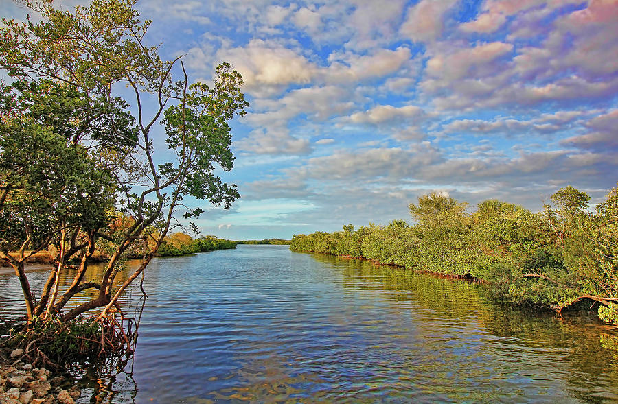 Floridas Scenic Waterways Photograph by HH Photography of Florida