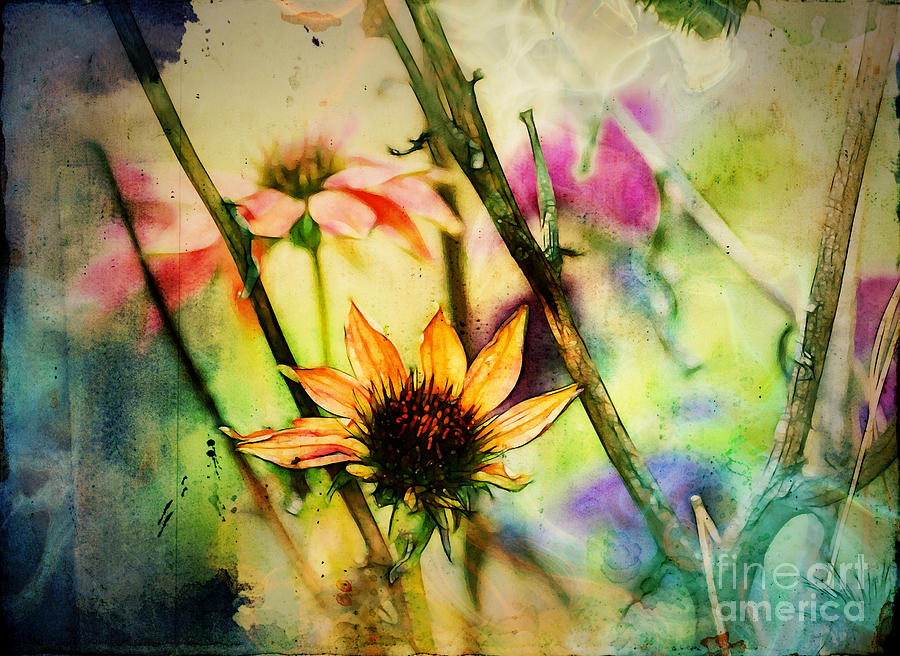 Florus - a2c5b3 Digital Art by Variance Collections