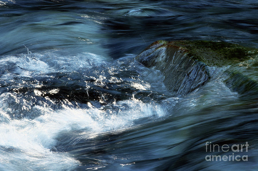 Flow 2 Photograph by Sharon Talson