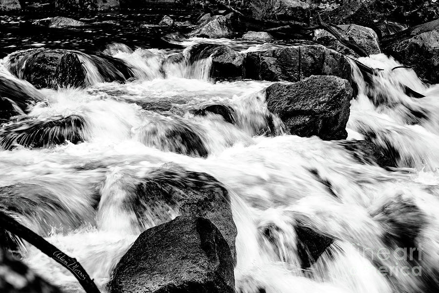 Flow, Black and White Photograph by Adam Morsa